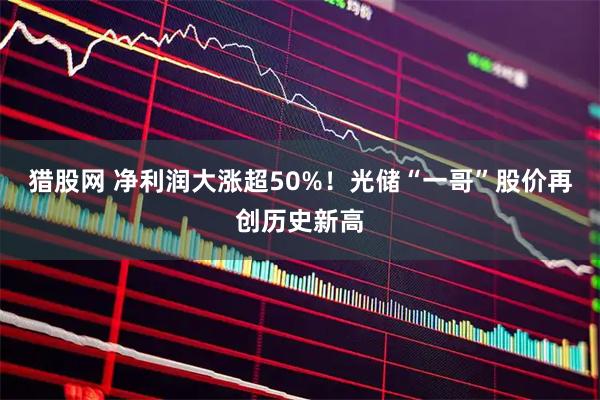 猎股网 净利润大涨超50%！光储“一哥”股价再创历史新高