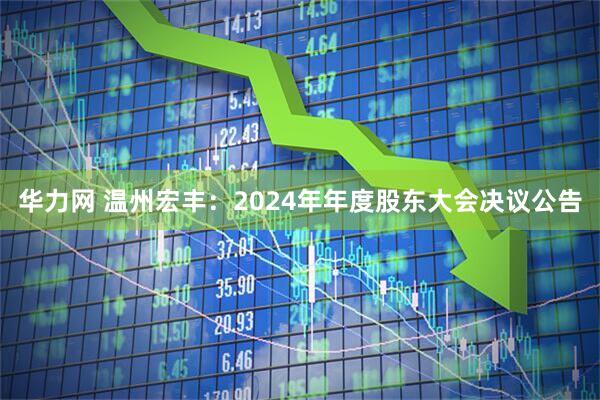 华力网 温州宏丰：2024年年度股东大会决议公告