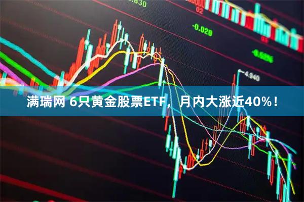 满瑞网 6只黄金股票ETF，月内大涨近40%！